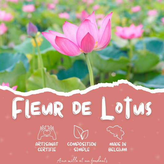 Fleur de lotus