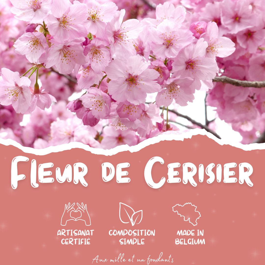 Fleur de cerisier