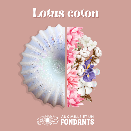 Lotus coton