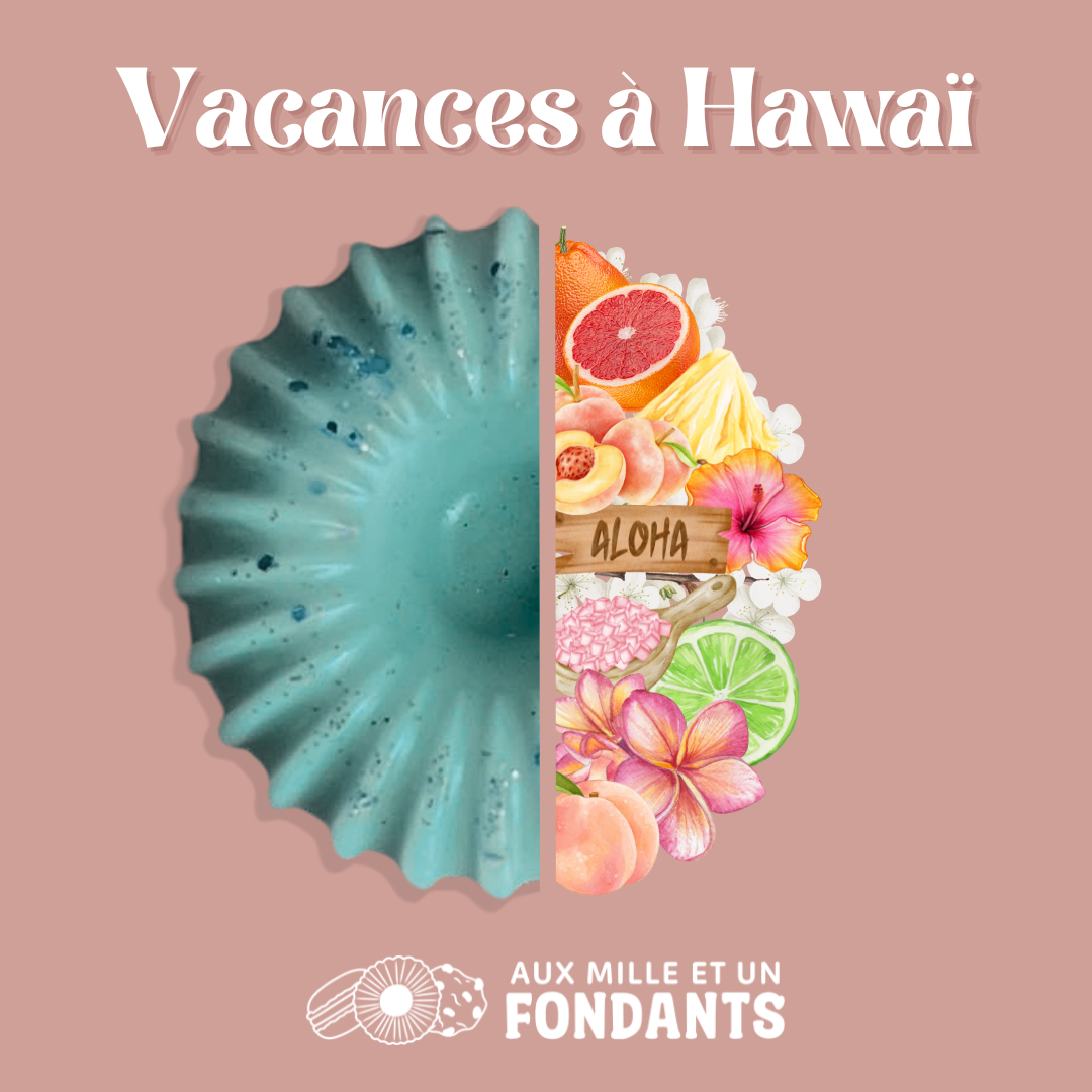 Vacances à Hawaï