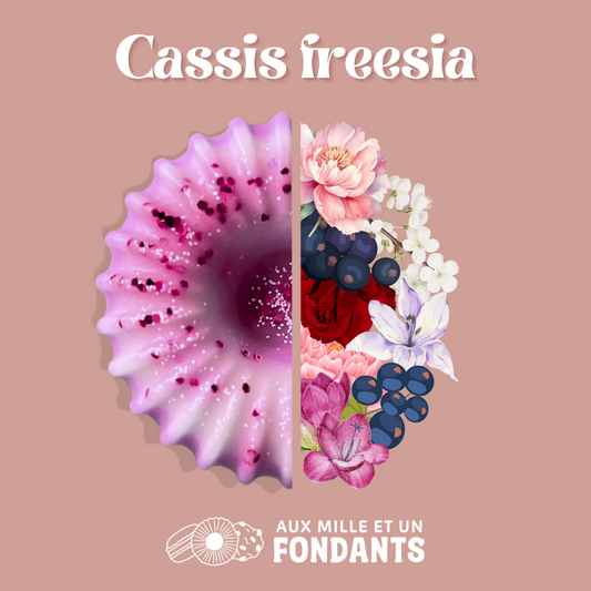 Cassis freesia