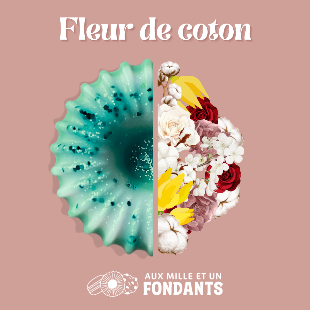 Fleur de coton