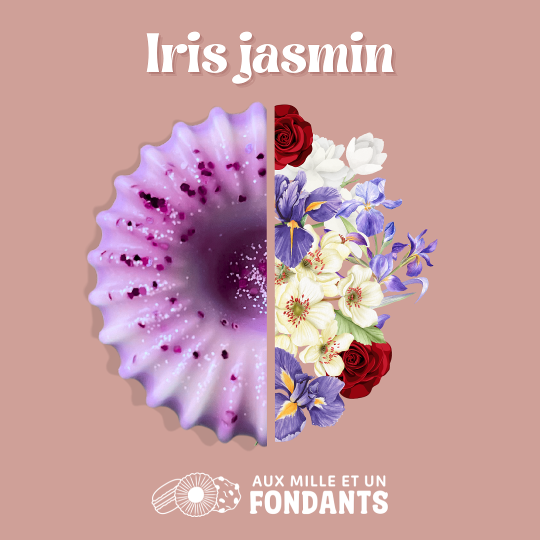 Iris jasmin