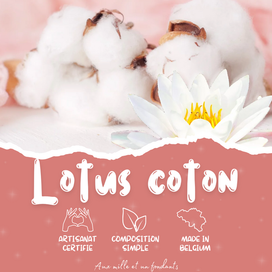 Lotus coton