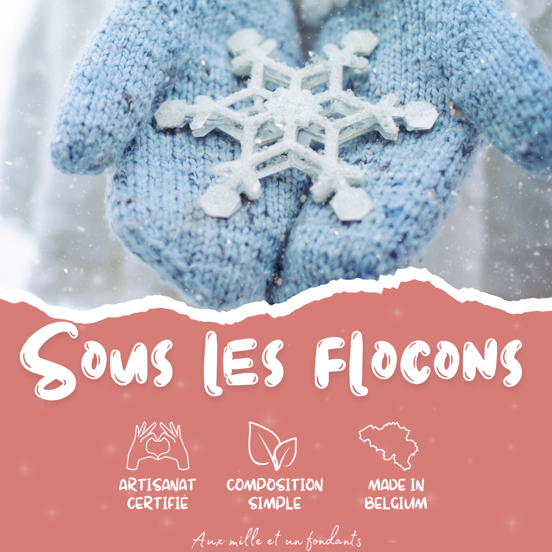 Sous les flocons