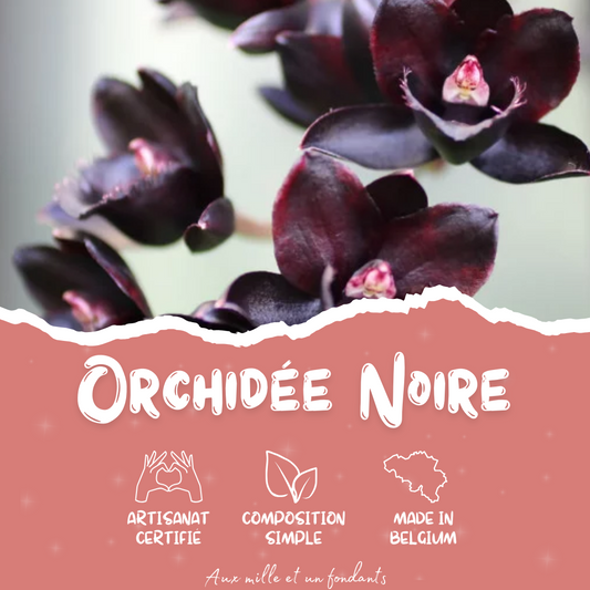 Orchidée noire