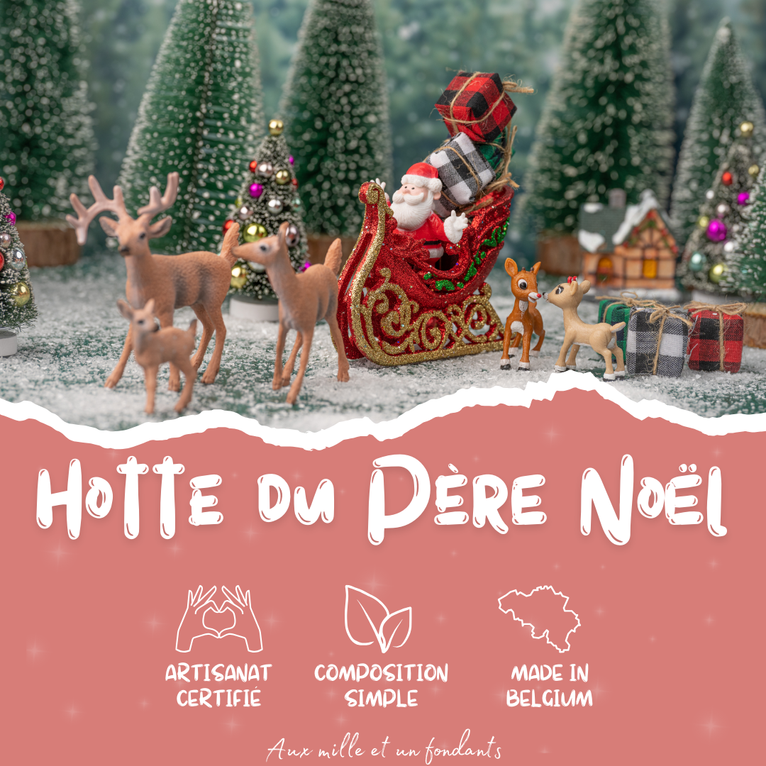 Hotte du Père Noël