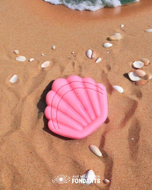 Coquillage "Barbe à papa"